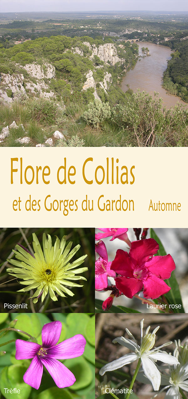 flore de Collias et des Gorges du Gardon Automne