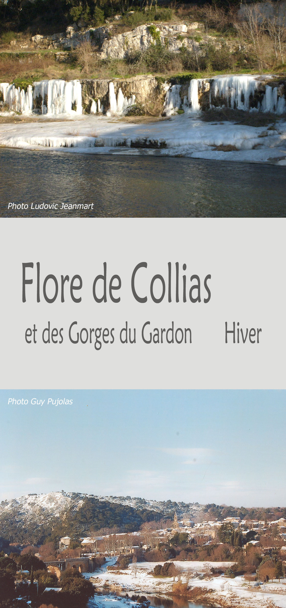 flore de Collias et des Gorges du Gardon hiver